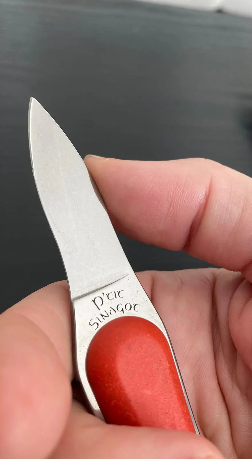 P'tit Sinagot - Lancette voiles rouges