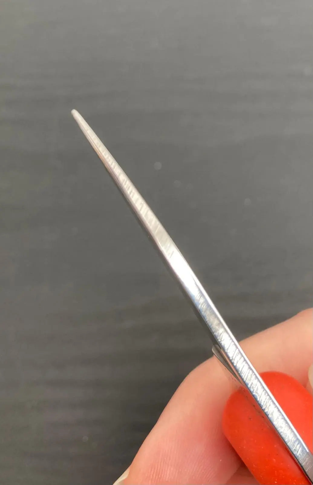 P'tit Sinagot - Lancette voiles rouges