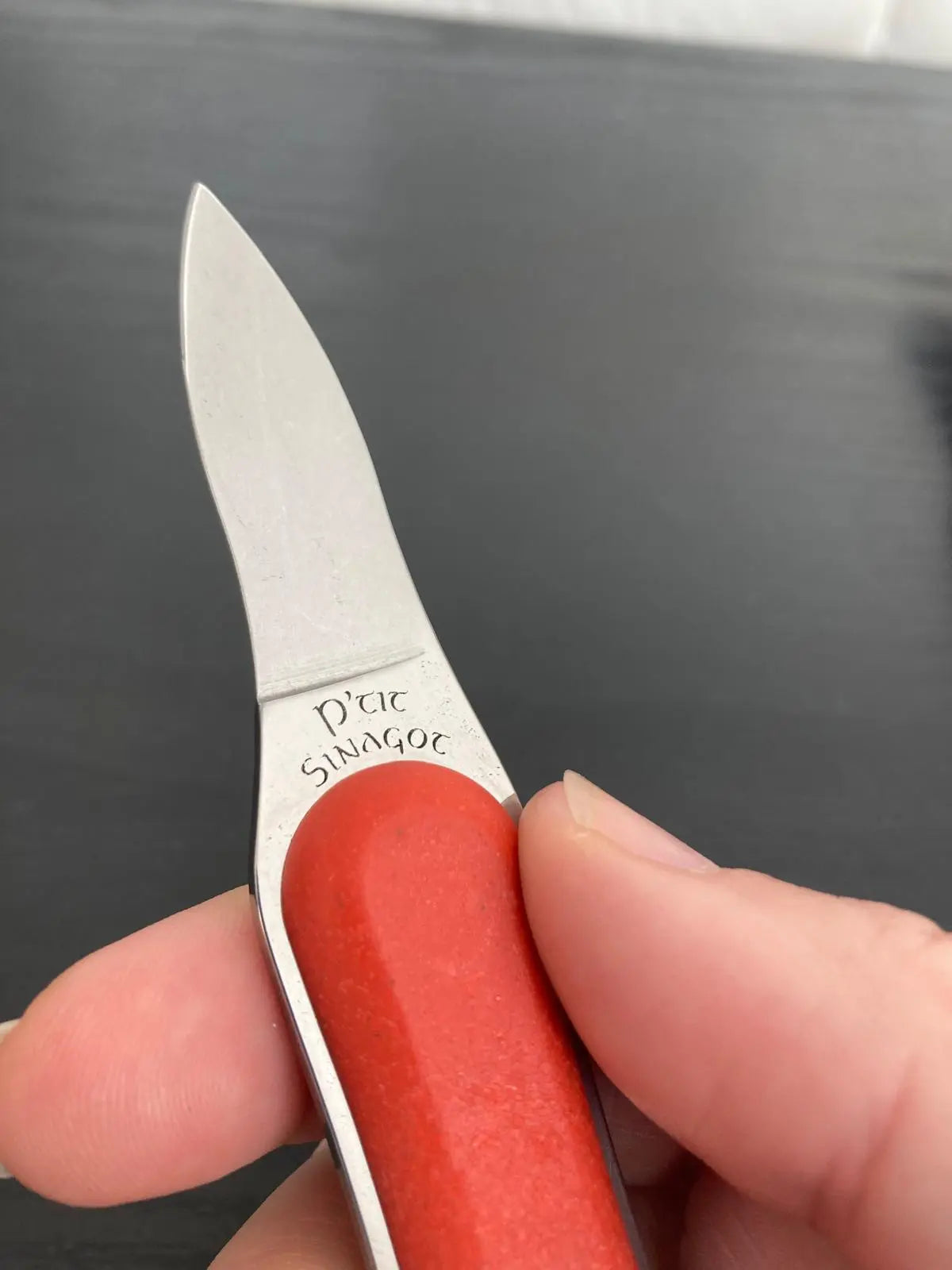 P'tit Sinagot - Lancette voiles rouges